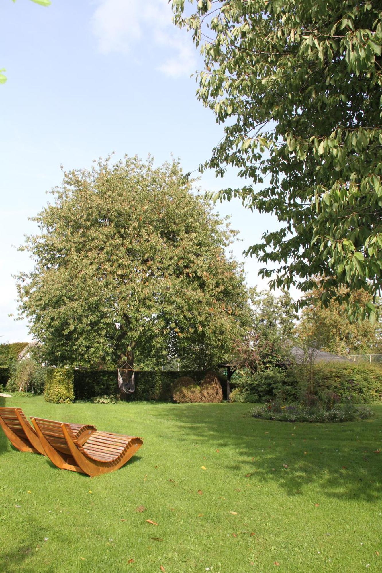 Familiehuis De Betuwe Met Prive Kunstgras Tennisbaan En Sauna Villa Erichem Exterior foto