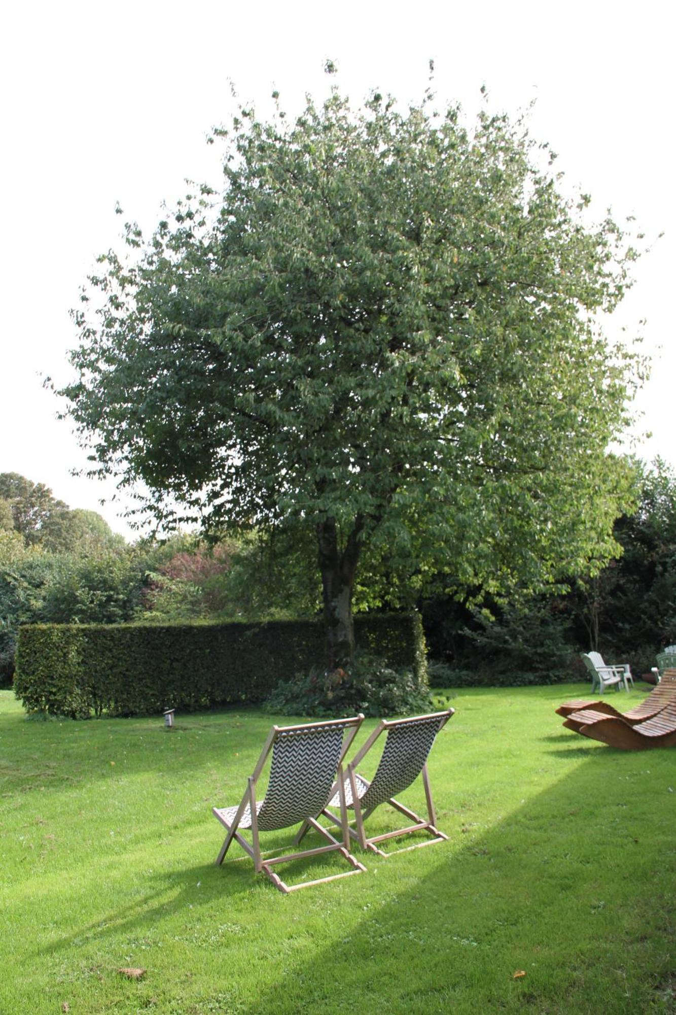 Familiehuis De Betuwe Met Prive Kunstgras Tennisbaan En Sauna Villa Erichem Exterior foto